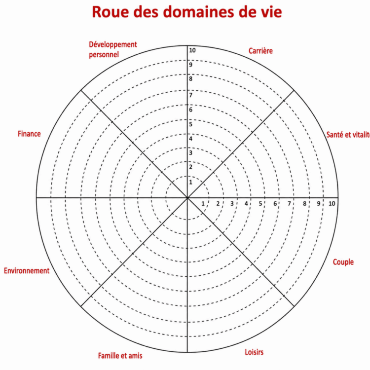 roue domaine de Vie roue domaine de Vie